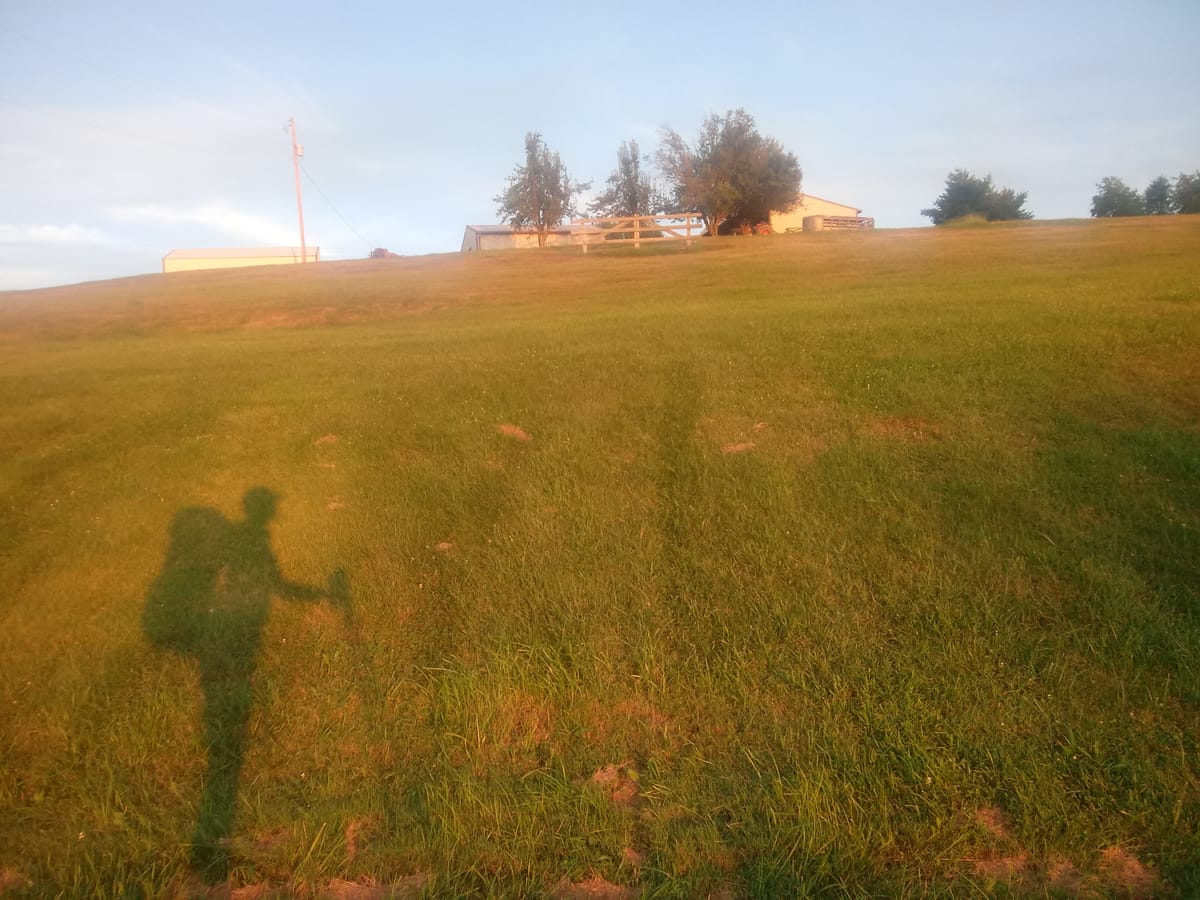 Hecka Walk